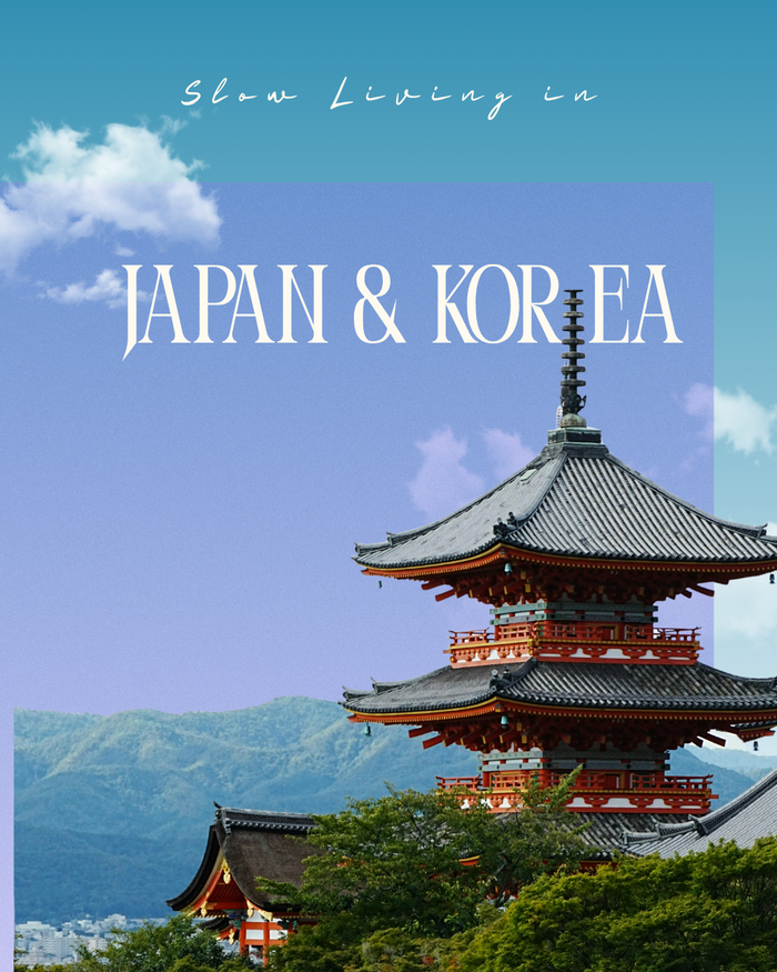 Korea Japan Group Trip — 14 Days | November 2026 - خريف بلونين