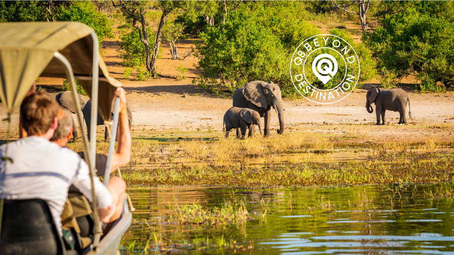 Kenya Safari — Women Only | 7 Days | July 2026 - رحلة كينيا للسيدات