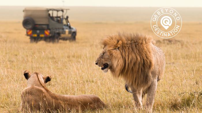 Kenya Safari — Women Only | 7 Days | July 2026 - رحلة كينيا للسيدات