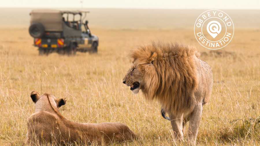 Kenya Safari — Women Only | 7 Days | July 2026 - رحلة كينيا للسيدات